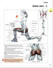 Dumbbell_Lunges_MPreview