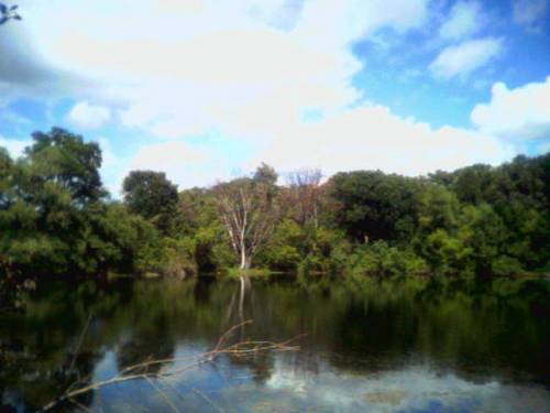 View of Lake from biking trail