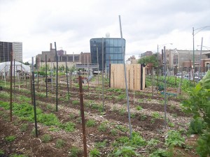 2572969101_82c2ab01d5