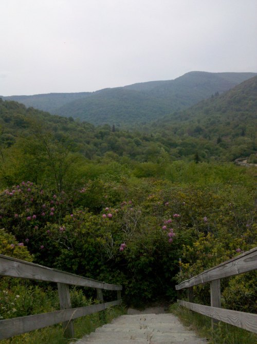graveyardfallsstairs Stairs to Graveyard Fields paths