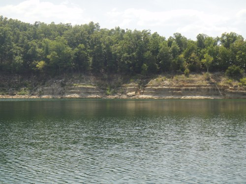 Bull,Shoals Lake, MO. Photo by J. Porys Photography.