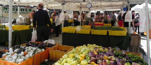 Farmer's Markets