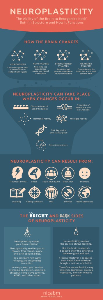 From http://www.nicabm.com/brain-how-does-neuroplasticity-work/